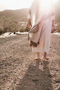 Walking | Reflections of a Lay Catholic